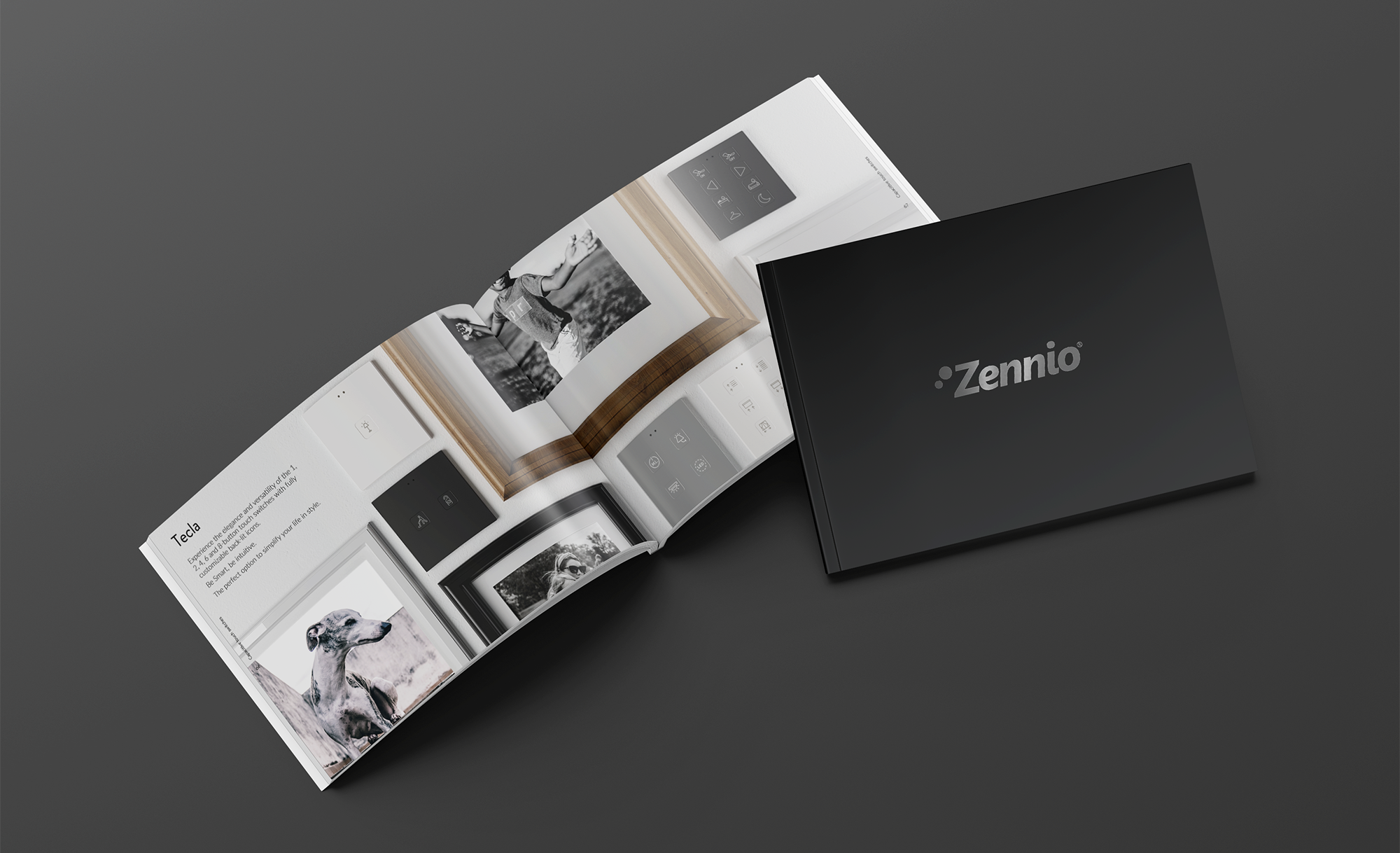 Zennio