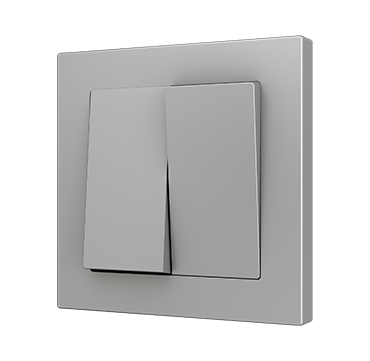 ZS55 Double one-way rocker switch