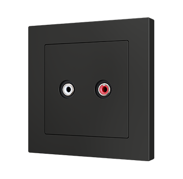 ZS55 RCA audio outlet