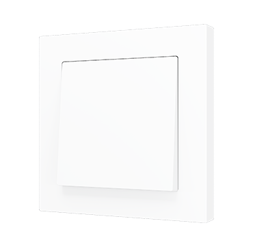 ZS55 Single two-way rocker switch