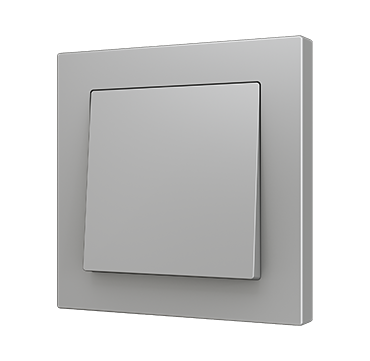 ZS55 Single intermediate rocker switch