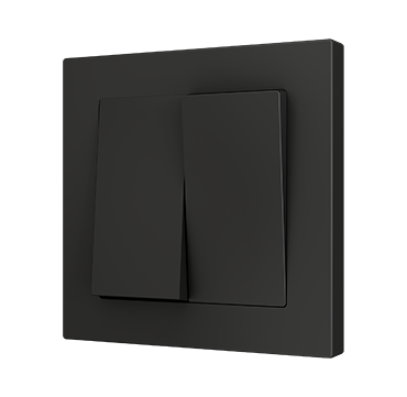 ZS55 Double two-way rocker switch