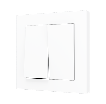 ZS55 Double push button switch*